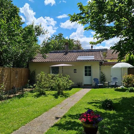 Les Cedres Bleus Bed & Breakfast Saint-Medard-de-Mussidan ภายนอก รูปภาพ