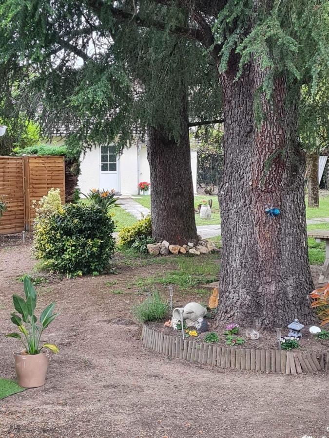 Les Cedres Bleus Bed & Breakfast Saint-Medard-de-Mussidan ภายนอก รูปภาพ